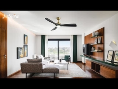 डीसी मोटर, काले एबीएस ब्लेड के साथ 52 इंच का आधुनिक एलईडी छत पंखे