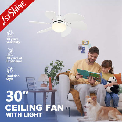 खरीदें सफेद ब्लेड और 6 गति के साथ 1stshine छत पंखे प्रकाश 110-240V / 50Hz-60Hz इनपुट वोल्टेज ऑनलाइन निर्माण