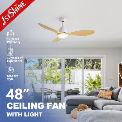 Modern Ceiling Fan with LED Light 48